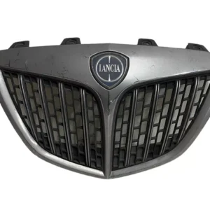 GRIGLIA SUPERIORE CENTRALE PARAURTI ANTERIORE LANCIA DELTA 844 2012 - 735485930