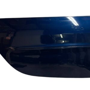 PANNELLO ESTERNO PORTA / SPORTELLO ANT. DX SMART FORTWO 450 2003 - 0000505V010