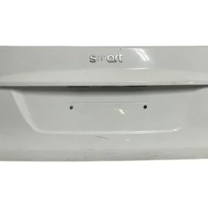 PANNELLO ESTERNO PORTELLONE / COFANO POST. SMART FORTWO 451 2010 - A4517570006