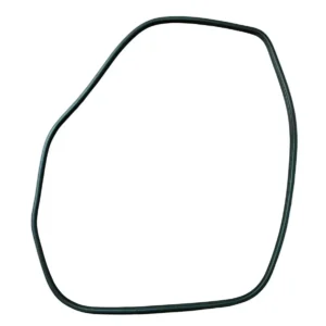 GUARNIZIONE CONTORNO PORTA (SUL TELAIO) ANT SX NISSAN JUKE F15 2015 - 769221KA0A
