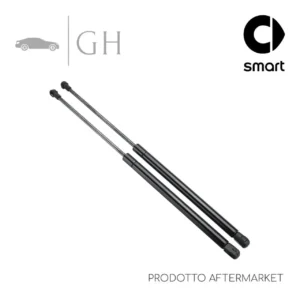 COPPIA MOLLE A GAS PISTONCINI AMMORTIZZATORI LUNOTTO POST SMART FORFOUR 453 2015 - A4539800164