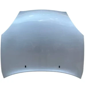 COFANO ANTERIORE (ANT.) ORIGINALE FORD PUMA 2001 - 1038113
