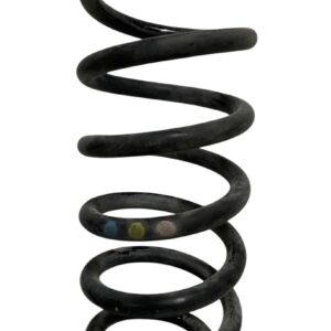 MOLLA SOSPENSIONE / PONTE POSTERIORE RENAULT CLIO IV 1.2 B. 2013 - 550209600R