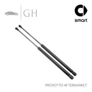 COPPIA MOLLE A GAS PISTONCINI AMMORTIZZATORI LUNOTTO POST SMART FORFOUR 454 (I)